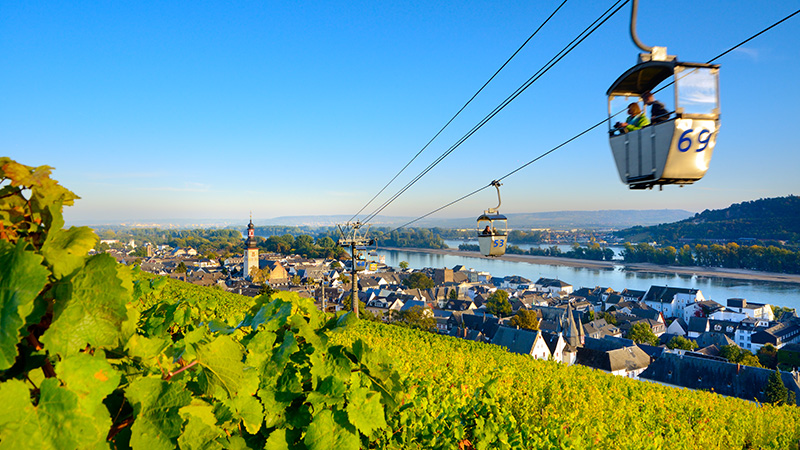Ankomst till Rüdesheim & vinprovning