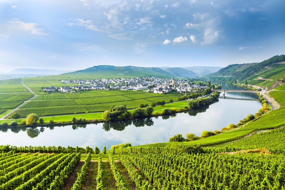 Rehn o Mosel 7 dagar vinresa 2023